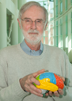 In 2014, radiologist Marc Raichle, MD, was one of three scientists awarded the prestigious Kavli Prize in Neuroscience from the Norwegian Academy of Science and Letters. Raichle is internationally renowned for his contributions to advancing the frontiers of cognitive neuroscience. Photo credit: Robert Boston.