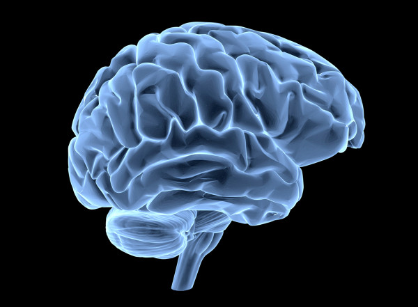 Brain image