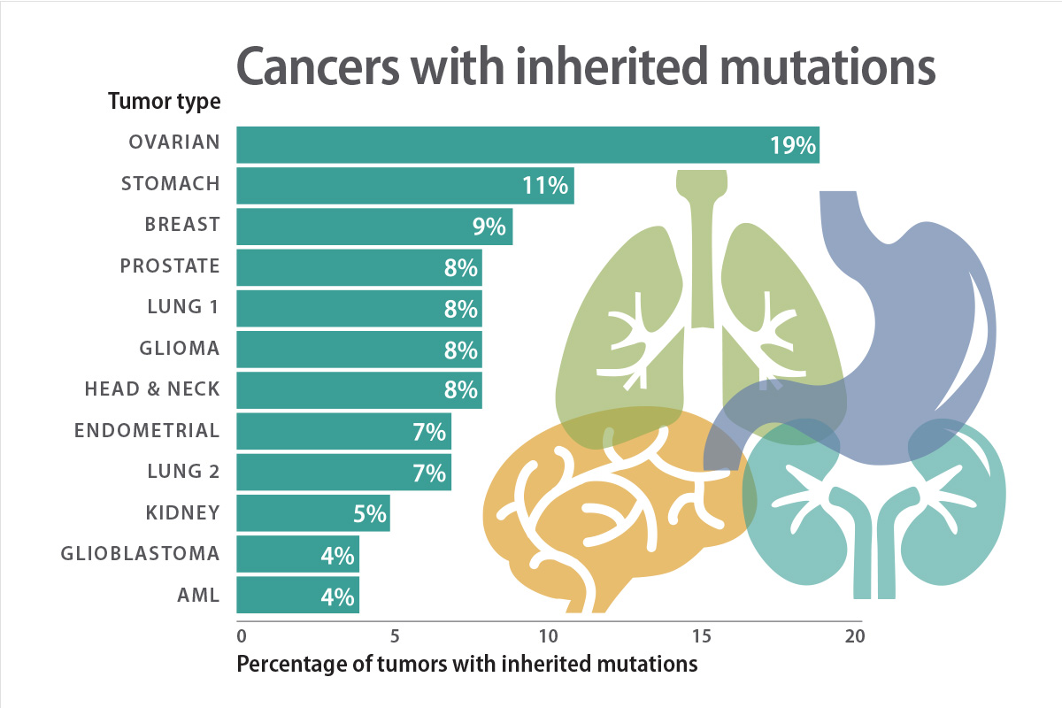 In the graphic above, Lung 1 is lung squamous cell carcinoma, and Lung 2 is lung adenocarcinoma.