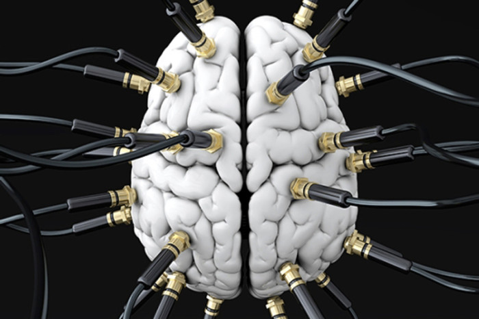Brain-connection-traits