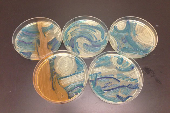 Petri-dish-starry-night