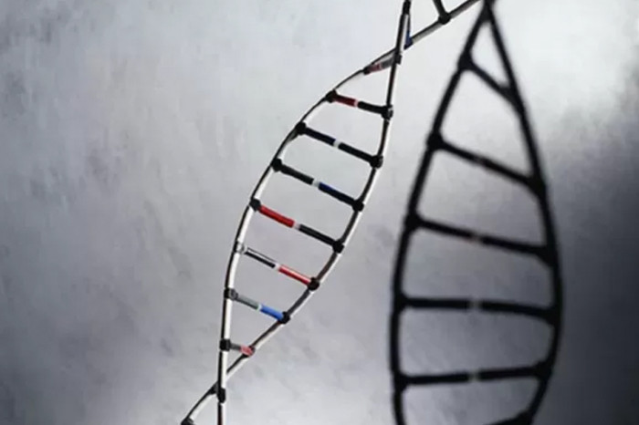 genetics-methadone-overdose