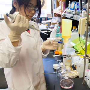 Haiyan Zhao, PhD, a postdoctoral researcher in Daved Fremont's laboratory, purifies the Zika surface protein that allows the virus to enter and infect cells of the body.