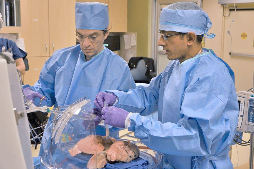 Surgeons at Washington University School of Medicine in St. Louis recondition lungs in device that has the potential to expand the lung transplant donor pool. Conducting the procedure are (left) Daniel Kreisel, MD, Phd, professor of surgery and of pathology and immunology, and (right) Varun Puri, MD, associate professor of surgery.