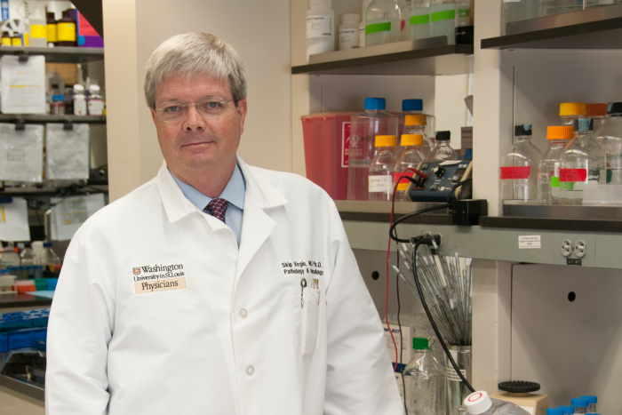 Skip Virgin, MD, PhD, professor of microbiology, medicine, and pathology and immunology, has shown that infecting laboratory mice with the mouse equivalent of common human pathogens may make them better models for vaccine studies. 