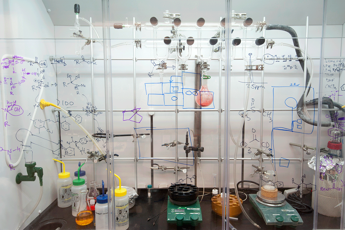Bear Cub Challenge awards $225,000 to five research teams – WashU Medicine