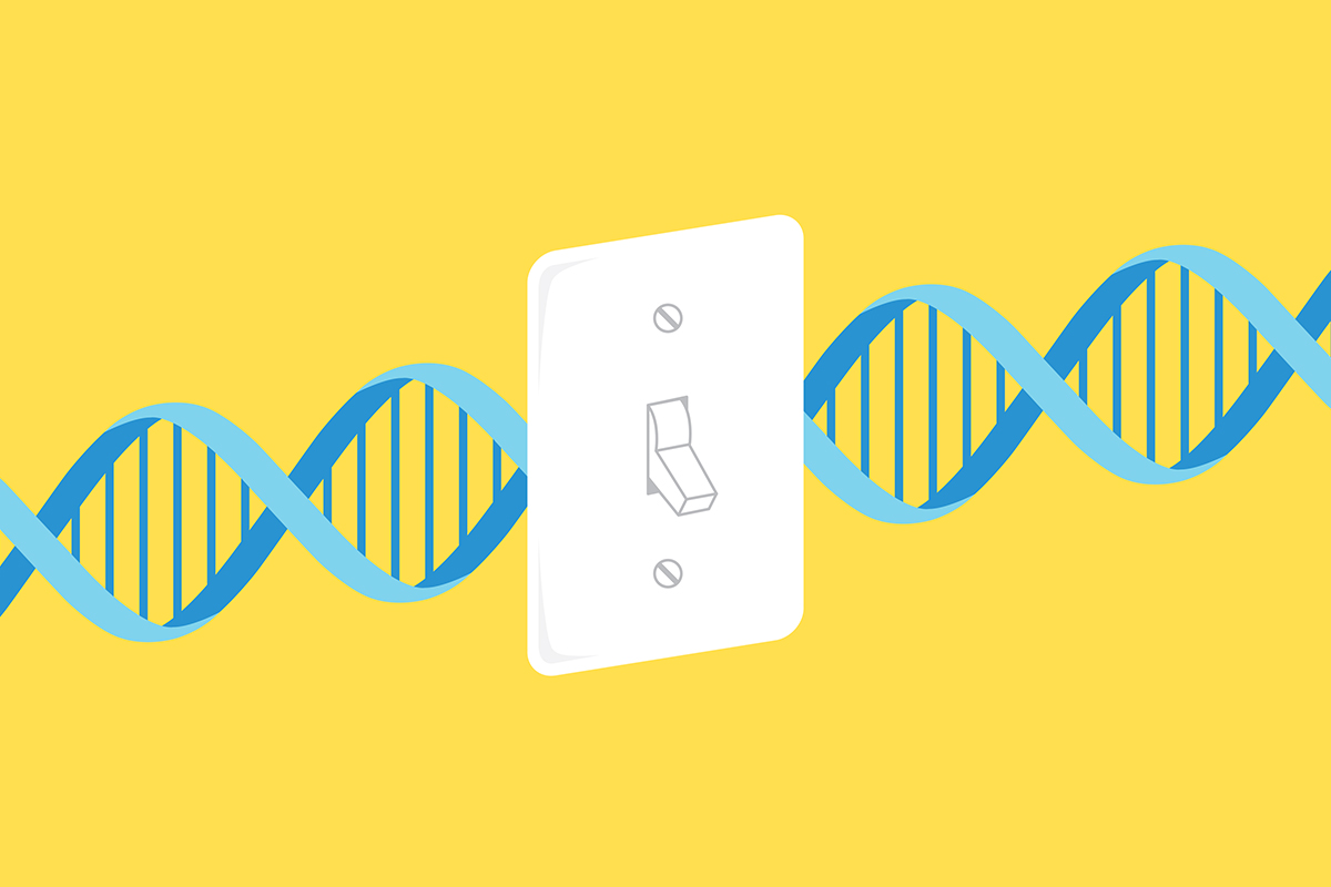 Ability to turn off genes in brain crucial for learning, memory – WashU ...