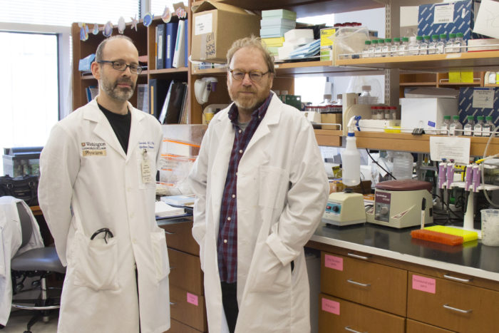 Michael Diamond, MD, PhD, (left) and Daved Fremont, PhD, have produced and characterized antibodies that protect mice against a lethal dose of Zika virus. These antibodies could lead to a vaccine, diagnostic tests or treatments for the disease.