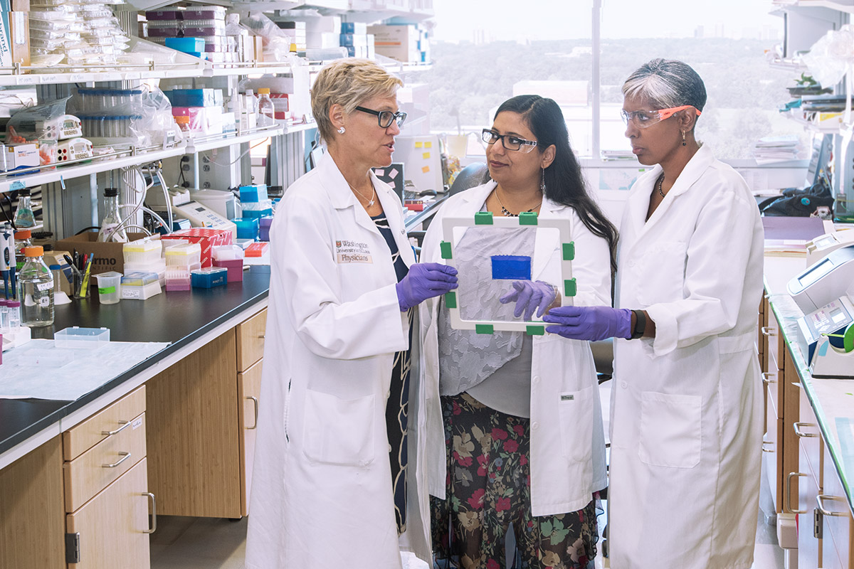 New center focuses on women’s and men’s reproductive health – WashU ...