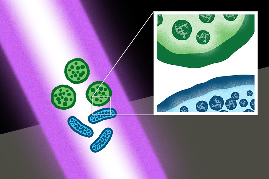 【超貴重プロモ盤】 BACTERIA / LOST Ultrashort-pulse lasers kill bacterial superbugs, spores – WashU