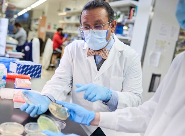 Sitting at a bench in the lab, Gautam Dantas and another scientist wear masks, gloves and lab coats, examining cultures in petri dishes.