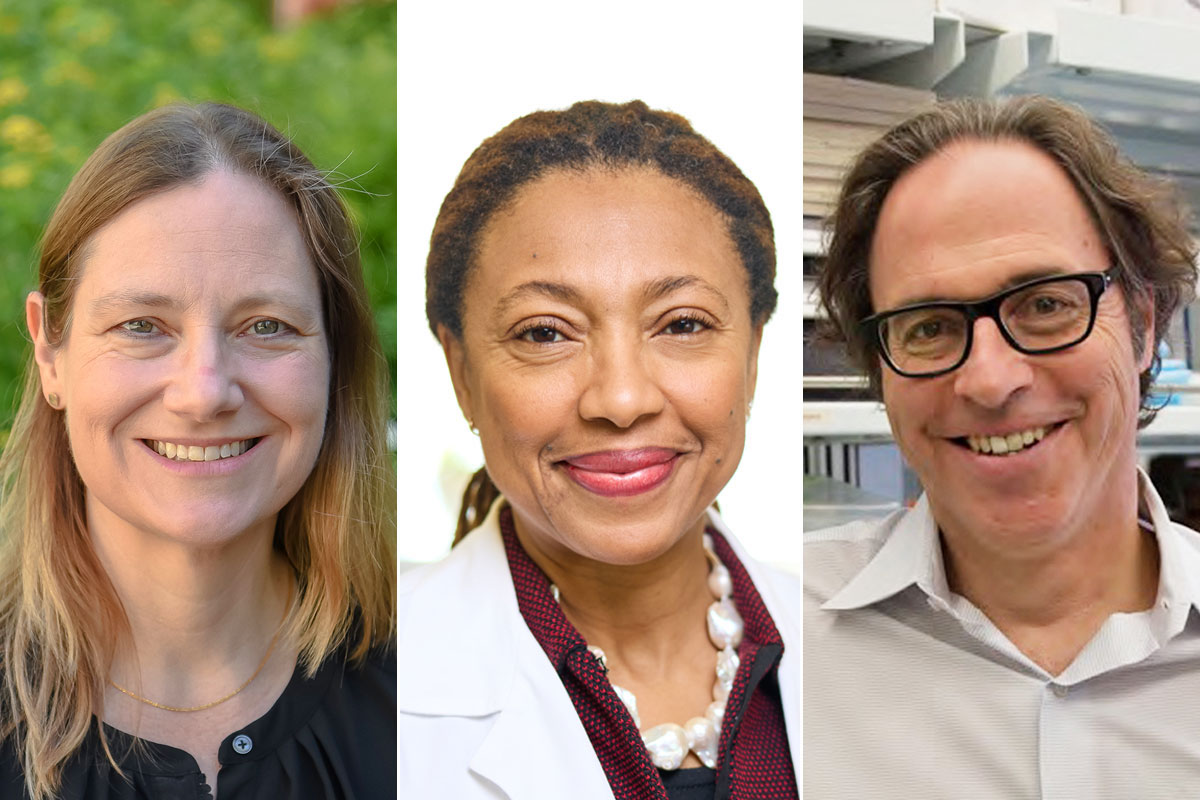 Dickson, Khabele, Longmore elected to Association of American ...