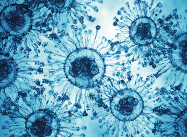 Viruses on a blue background