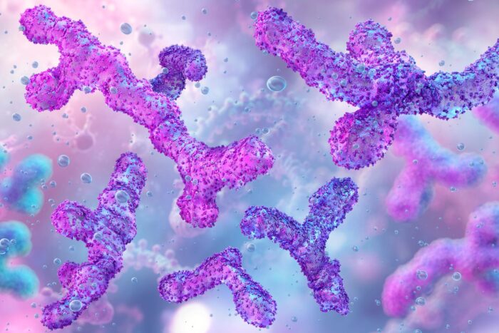 Magnified view of a microbiome