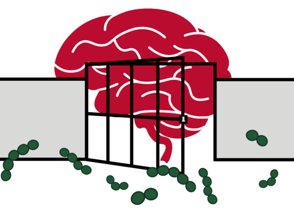 Schematic of a gate between the brain and bacteria.
