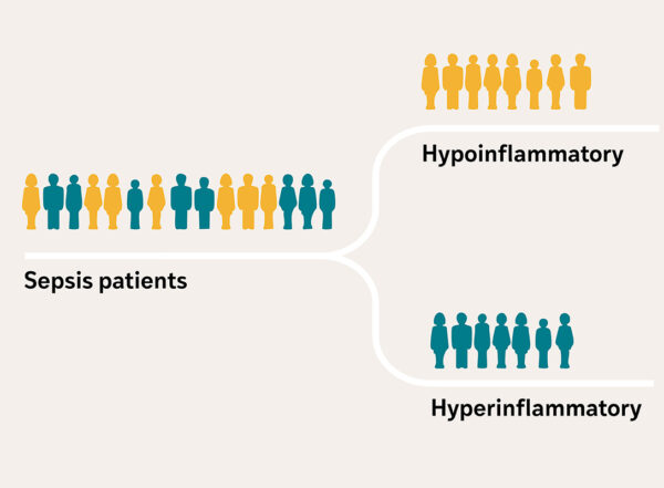 graphic representation of male and female patients with sepsis being sorted into two groups: hypoinflammatory or hyperinflammatory