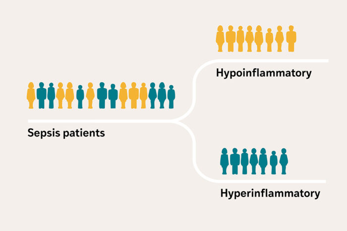 graphic representation of male and female patients with sepsis being sorted into two groups: hypoinflammatory or hyperinflammatory
