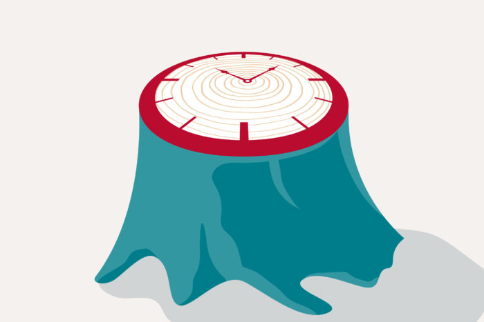 An illustration of a tree stump with a clock on top