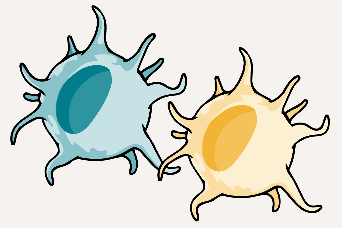 mRNA vaccines follow unconventional immune path to destroy tumors – WashU Medicine