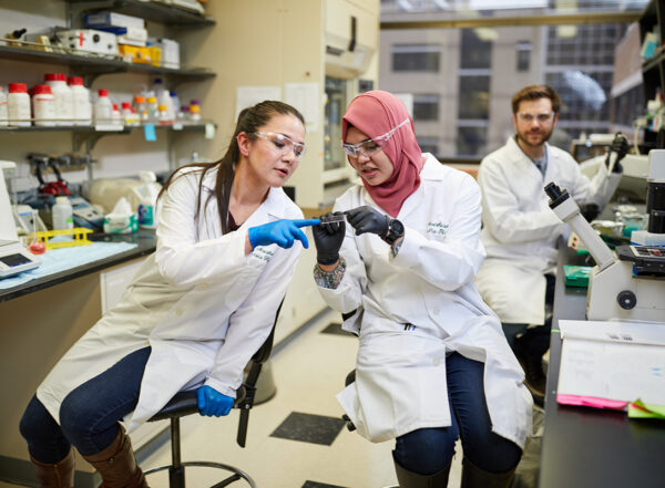 Scientists consult in a laboratory.