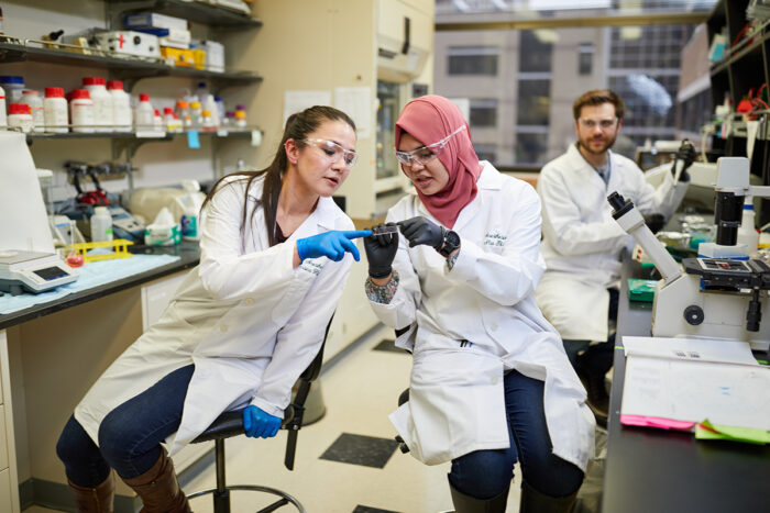 Scientists consult in a laboratory.