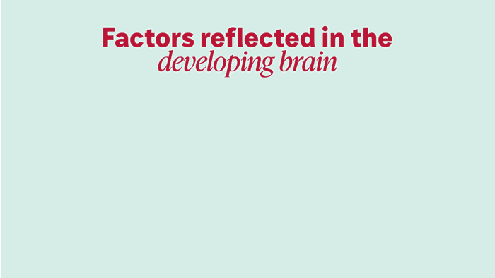 An animation showing 12 groups of factors reflected in the developing brain, from smallest to largest: medical history, substance abuse, mental health, social adjustment, personality, parenting, physical health, culture/environment, demographics, screen time, cognitive abilities, and socioeconomic status. Socioeconomic status is much larger than all the other factors.