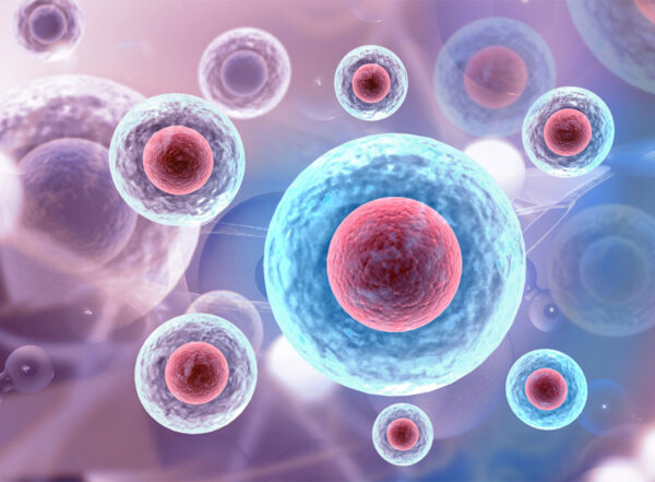 Illustration of cells