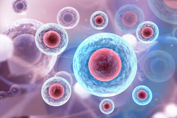 Illustration of cells