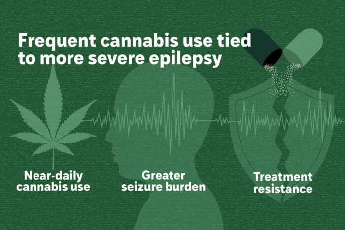 A graphic titled Frequent cannabis use tied to more severe epilepsy. The illustration shows a cannabis leaf indicating near-daily use, a person's head with brain activity spikes indicating seizure burden and a broken pill indicating treatment resistance.