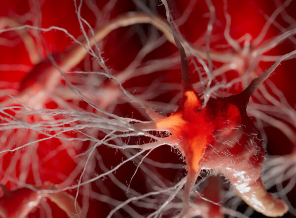 A macro view of a neuron shows its complex dendritic structure against a vivid red background.