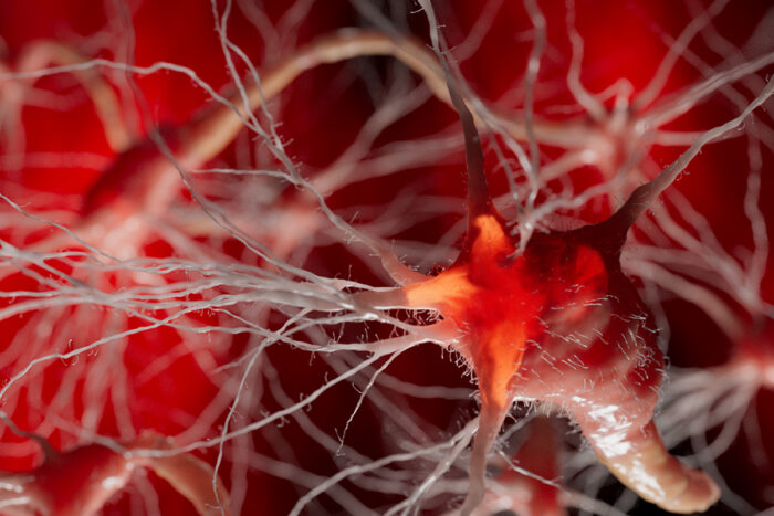 A macro view of a neuron shows its complex dendritic structure against a vivid red background.