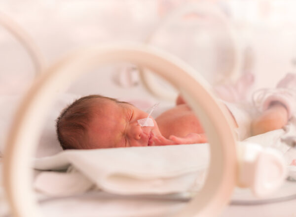 image of a preemie in an incubator