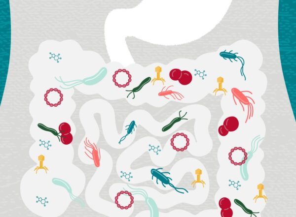 microbes in the intestines
