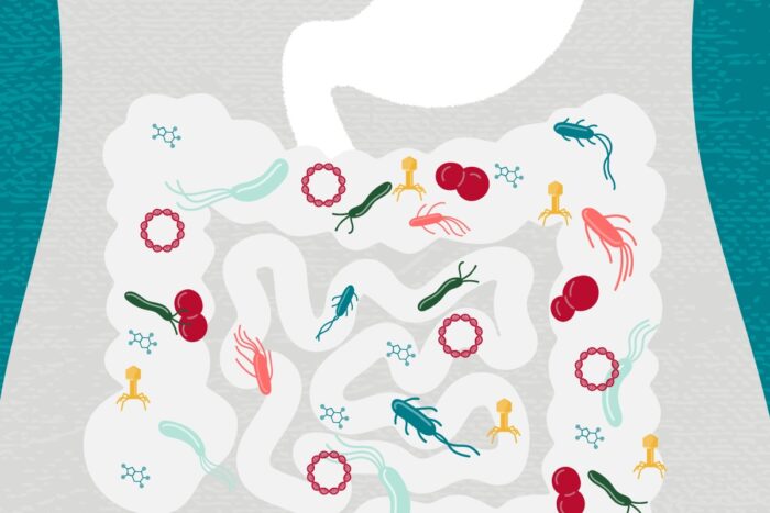 microbes in the intestines