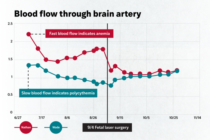 scientific graph