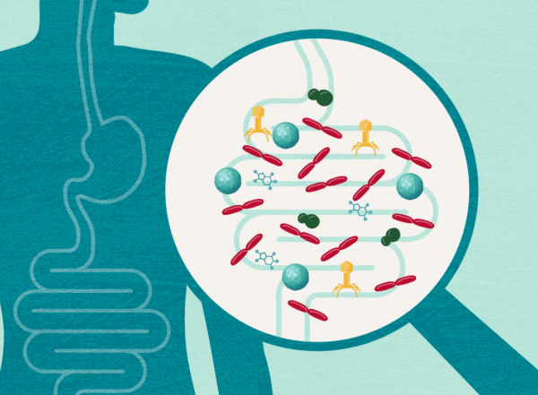 Illustration of microbes in intestines
