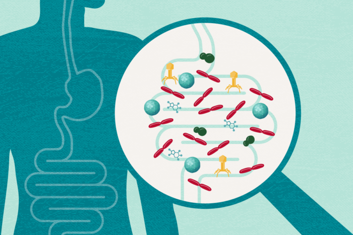 Illustration of microbes in intestines
